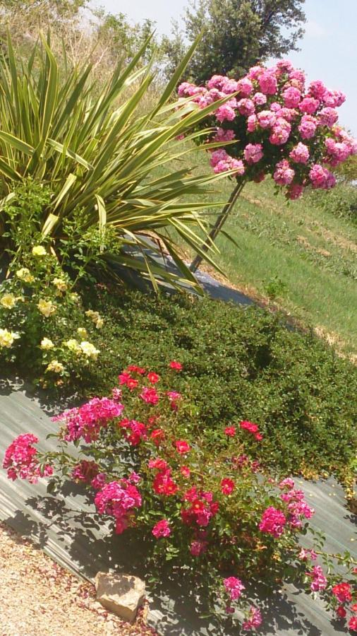 Chambres Et Tables D'Hotes "Au Pres De Ma Blonde" Senouillac Dış mekan fotoğraf
